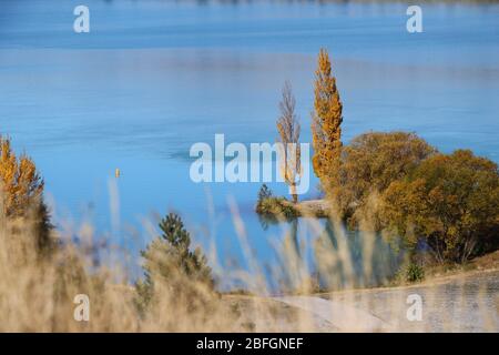 Bella natura vicino al lago Ruataniwha, Twizel, Nuova Zelanda Foto Stock