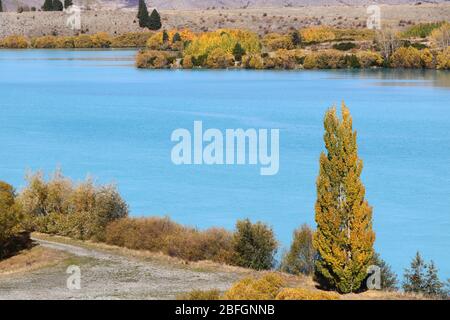 Bella natura vicino al lago Ruataniwha, Twizel, Nuova Zelanda Foto Stock