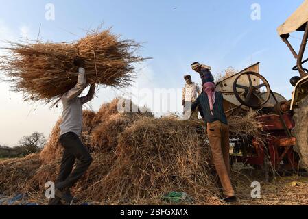 Prayagraj, stato settentrionale dell'India di Uttar Pradesh. 18 Aprile 2020. I contadini raccolgono il grano nel villaggio di Meja, lo stato settentrionale dell'India di Uttar Pradesh, 18 aprile 2020. Credit: Str/Xinhua/Alamy Live News Foto Stock