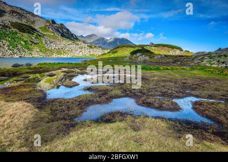 Maestoso lago ghiacciaio, fiori gialli alpini e ruscello tortuoso, Parco Nazionale Retezat, Carpazi, Romania, Europa Foto Stock