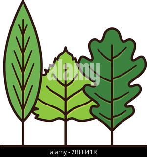 Varietà di foglie che assomiglia ad una piccola foresta isolata illustrazione vettoriale per Arbor Day il 24 aprile Illustrazione Vettoriale