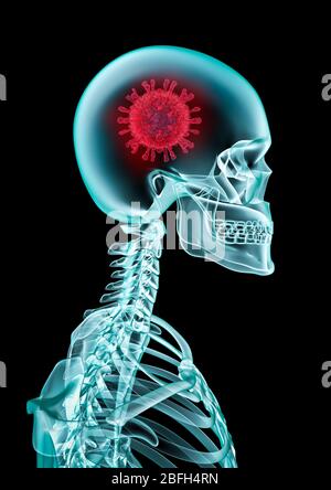 Concetto di raggi X Covid-19 / illustrazione 3D della cellula di coronavirus all'interno della testa dello scheletro umano radiografia medica Foto Stock