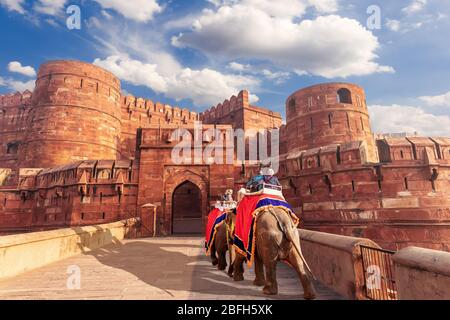 Forte di Agra ed elefanti, vista dell'India Foto Stock