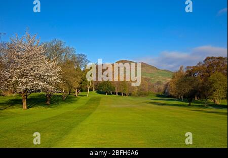 Campo da golf Duddingston, Edimburgo, Scozia. 19 aprile 2020. Il sole splende con una temperatura di 6 gradi sui verdi vuoti e sui fairway mentre il corso è chiuso a causa del Lockdown di Coronavirus. Il foro caratteristico è il 13 ° 426 metri chiamato 'Tempio' - chiamato dopo il monumento costruito dal duca di Abercorn che si erge accanto al buco. Il primo club fondato a Duddingston, fu chiamato Insurance & Banking Golf Club, nel 1895. ... Progettato da Willie Park Junior, il corso misura ora 6,525 metri. Credit: Arch White/Alamy Live News Foto Stock