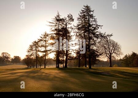 Campo da golf Duddingston, Edimburgo, Scozia. 19 aprile 2020. Il sole splende con una temperatura di 6 gradi sui verdi vuoti e sui fairway mentre il corso è chiuso a causa del Lockdown di Coronavirus. Il foro caratteristico è il 13 ° 426 metri chiamato 'Tempio' - chiamato dopo il monumento costruito dal duca di Abercorn che si erge accanto al buco. Il primo club fondato a Duddingston, fu chiamato Insurance & Banking Golf Club, nel 1895. ... Progettato da Willie Park Junior, il corso misura ora 6,525 metri. Credit: Arch White/Alamy Live News Foto Stock