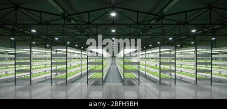 Stabilimento idroponico interno di impianti vegetali in magazzino spazi espositivi. Interno della fattoria hydroponics. Fattoria di verdure in hydroponics. Lattuga lontano Foto Stock