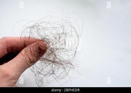 Primo piano dei capelli persi in mano donna su sfondo bianco. Paura della calvizie. Foto Stock