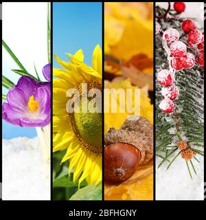 Four seasons collage Foto Stock