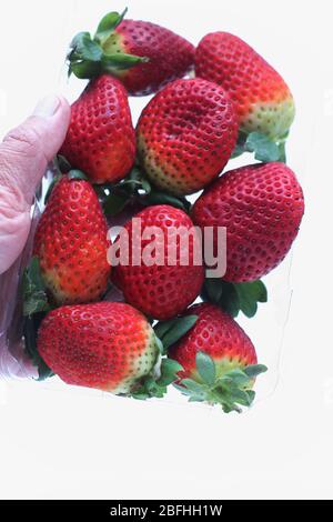 Primo piano di fragole fresche isolate su sfondo bianco Foto Stock