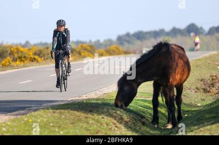 New Forest, Hampshire. 19 aprile 2020. Meteo Regno Unito. I ciclisti approfittano del tempo soleggiato e delle strade vuote della New Forest, mentre si esercitano quotidianamente. Credit Stuart Martin/Alamy Live News Foto Stock