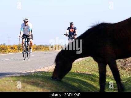 New Forest, Hampshire. 19 aprile 2020. Meteo Regno Unito. I ciclisti approfittano del tempo soleggiato e delle strade vuote della New Forest, mentre si esercitano quotidianamente. Credit Stuart Martin/Alamy Live News Foto Stock