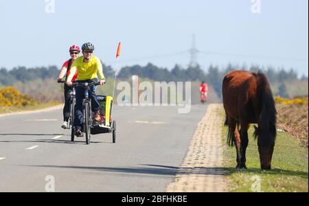 New Forest, Hampshire. 19 aprile 2020. Meteo Regno Unito. I ciclisti approfittano del tempo soleggiato e delle strade vuote della New Forest, mentre si esercitano quotidianamente. Credit Stuart Martin/Alamy Live News Foto Stock