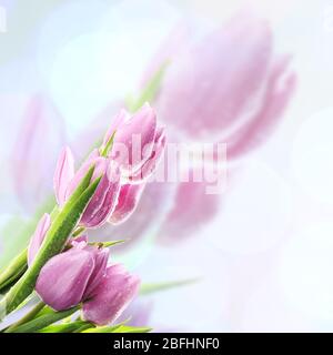 Bel bouquet di tulipani viola su sfondo luminoso Foto Stock