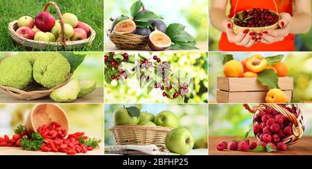 Collage di frutta e frutti di bosco da giardino Foto Stock