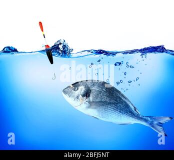 Pesce e gancio con verme in acqua Foto Stock