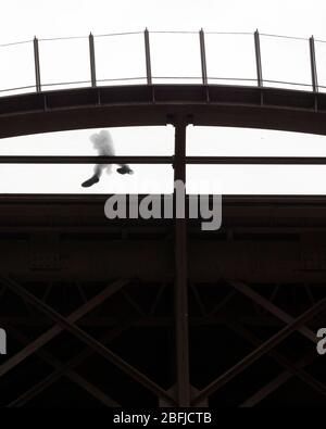 Silhouette di una persona che cammina sulla piattaforma trasparente al primo piano della Eiffel come visto dal basso, Parigi Foto Stock