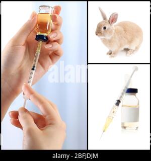 Vaccinazione e trattamento degli animali, collage Foto Stock