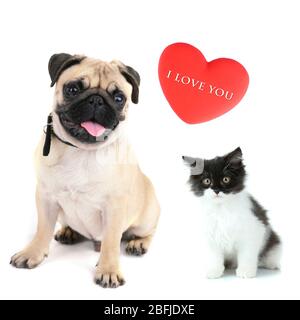 Gatto e cane con cuore rosso isolato su bianco Foto Stock