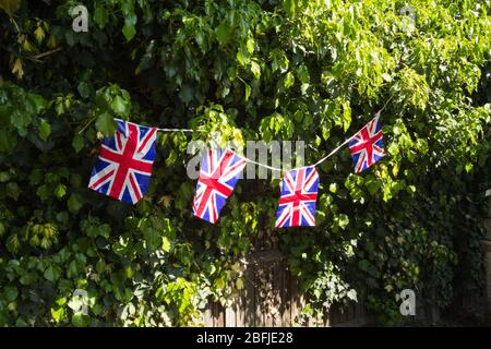 Una fila di piccole bandiere Union Jack incastonate contro il fogliame verde e una recinzione a traliccio di legno Foto Stock