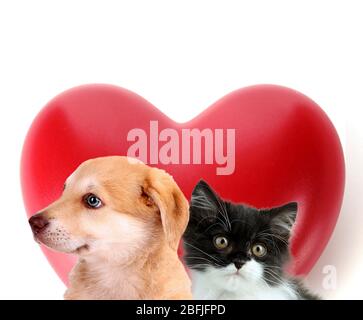 Gatto e cane con cuore rosso isolato su bianco Foto Stock