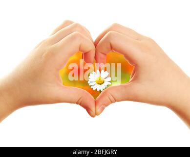 Bel fiore nel cuore formato da mani bambino isolato su bianco Foto Stock