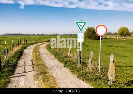 Riserva naturale nei pressi di Rees sul basso Reno: Non entrare Foto Stock