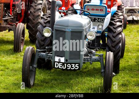 Un trattore Ferguson vintage Foto Stock