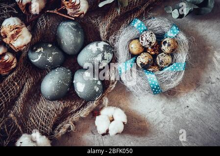 Uova di Pasqua e fiori di cotone su sfondo grigio Foto Stock
