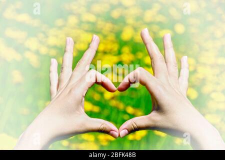 Le mani della giovane donna che fanno la cornice di forma del cuore sullo sfondo della natura Foto Stock