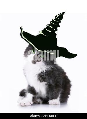 Gatto con cappello di strega per Halloween, isolato su bianco Foto Stock