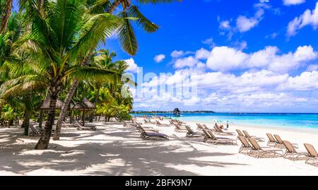 Paradiso tropicale nell'isola di Mauritius, Trou aux Biches. Foto Stock