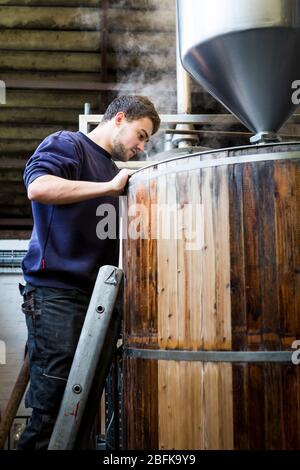 Il maestro birrificio Chris Taylor produce birra alla Larkins Brewery, premiata birreria e fattoria di luppolo a Chiddingstone, Kent, Regno Unito Foto Stock