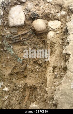 Un antico scheletro umano intatto scavato in un sito archeologico neolitico sepoltura nella città di Sion nella Valle del Rodano in Svizzera. Foto Stock