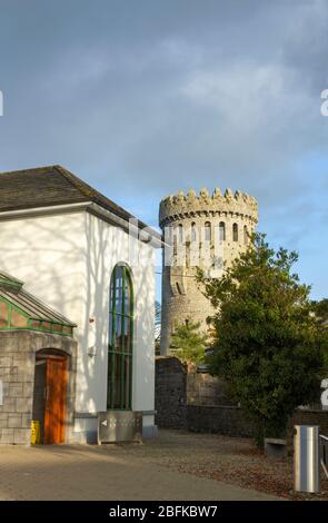 Immagine del resto della torre medievale del castello a Nenagh, Contea di Tipperary, Irlanda. Foto Stock