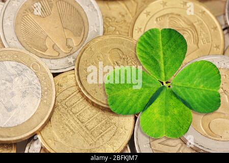 Primo piano: Foglia di trifoglio e monete in euro Foto Stock