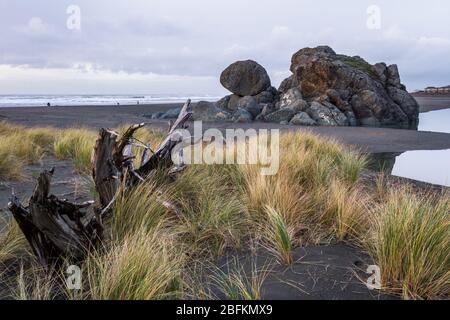 Vista serale di una nota caratteristica rock in Gold Beach Oregon, Turtle Rock con erba lunga soffiare nel vento e un grande pezzo di legno di deriva nel Foto Stock