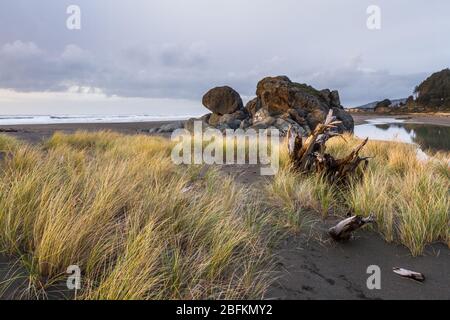 Vista serale di una nota caratteristica rock in Gold Beach Oregon, Turtle Rock con erba lunga soffiare nel vento e un grande pezzo di legno di deriva nel Foto Stock