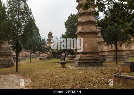 Dengfeng, Cina - 17 ottobre 2018: Foresta Pagoda al Tempio Shaolin. La foresta di pagoda a Shaolin si trova ai piedi del monte Shaoshi. Foto Stock