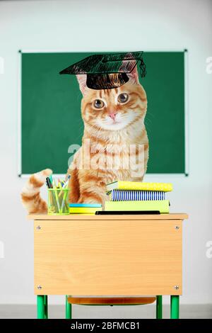 Gatto scuola-divertente gatto seduto su si siede a una scrivania della scuola. Foto Stock