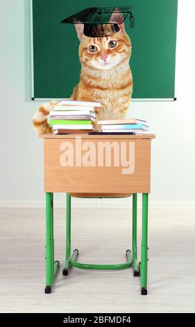 Gatto scuola-divertente gatto seduto su si siede a una scrivania della scuola. Foto Stock