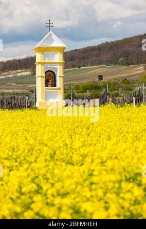 Gli dèi la tortura nei pressi di Retz, Austria Foto Stock