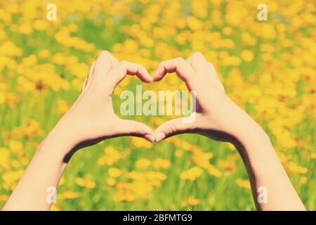 Le mani femminili in forma di cuore sullo sfondo della natura Foto Stock