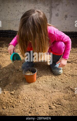 Bambina caucasica piccola, nel suo giardino, riempiendo una pentola con un cucchiaio durante il concharddown covid-19. Attività all'aperto per bambini a casa a pandemi Foto Stock
