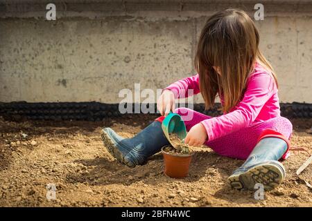 Bambina caucasica piccola, nel suo giardino, riempiendo una pentola con un cucchiaio durante il concharddown covid-19. Attività all'aperto per bambini a casa a pandemi Foto Stock