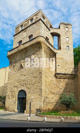 Francia, Montpellier, Centro storico, Tour de la Babote, vestage di bastioni della città 13C Foto Stock