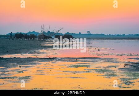 Tramonto sul fiume Brahmaputra a Majuli Island, Assam. Foto Stock