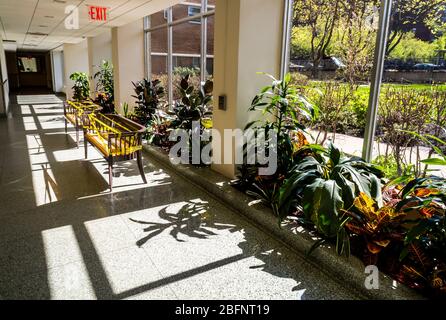 Panche nella lobby di un edificio di appartamenti a New York sono registrati per impedire la seduta per facilitare il rispetto delle distanze sociali, visto il giovedì 16 aprile 2020. (© Richard B. Levine) Foto Stock