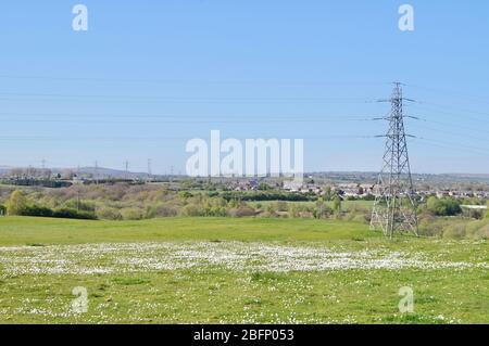 Campo pittoresco con margherite e tralicci sullo sfondo in una città dell'inglese settentrionale - passeggiata vagabondare erba daisy primavera caldo Foto Stock