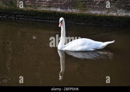 Scene di Amsterdam Foto Stock