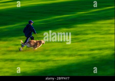 Ragazzo adolescente in esecuzione con il suo Golden Retriever cane nel verde dei campi erbosi di un parco. Foto Stock